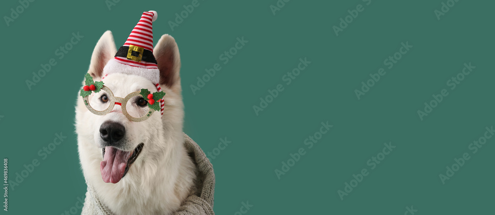 Cute dog with Christmas decor on color background with space for text - obrazy, fototapety, plakaty 