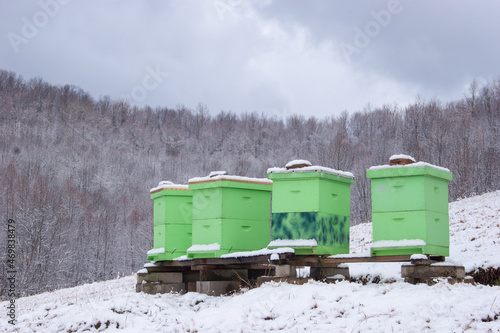 Bee hive boxes in the winter 