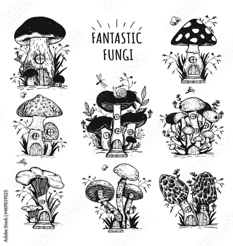 fantastic fungi. mushroom house. fantastic mushrooms with windows and doors. coloring. vector. eps	
