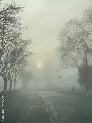 road in fog © Sam Florentine