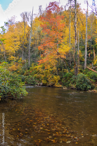 Stream in the fall in Great Smoky Mountains National Park, Tennessee
