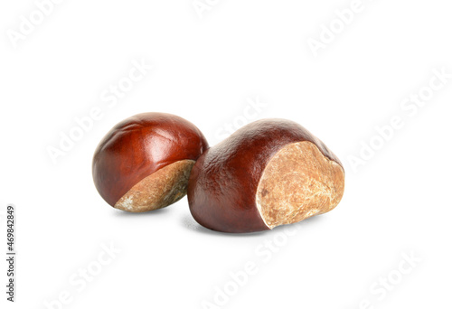 Autumn chestnuts on white background