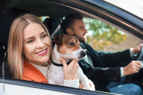 Beautiful woman with cute Jack Russel terrier and her husband travelling by car © Pixel-Shot