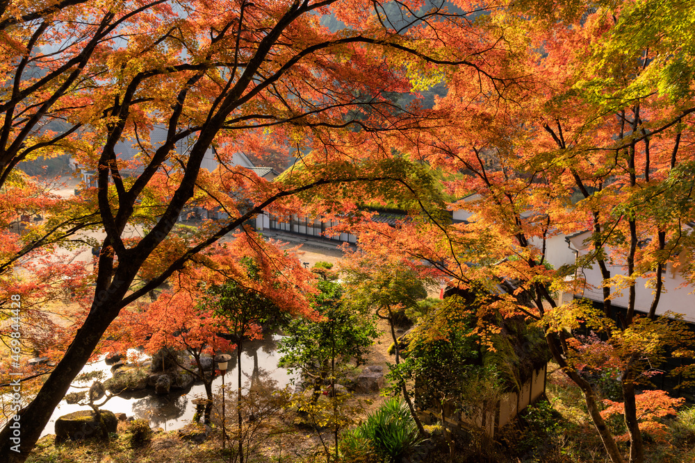 Traditional Japanese houses and gardens seen beyond the autumn leaves.
Korankei in Toyota city, Japan Traditional Japanese houses and gardens seen beyond the autumn leaves.
Korankei in Toyota city, Japan