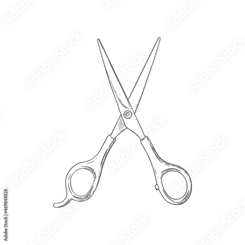Scissors sketch. Hairdresser shears tool. Vector illustration isolated in white background