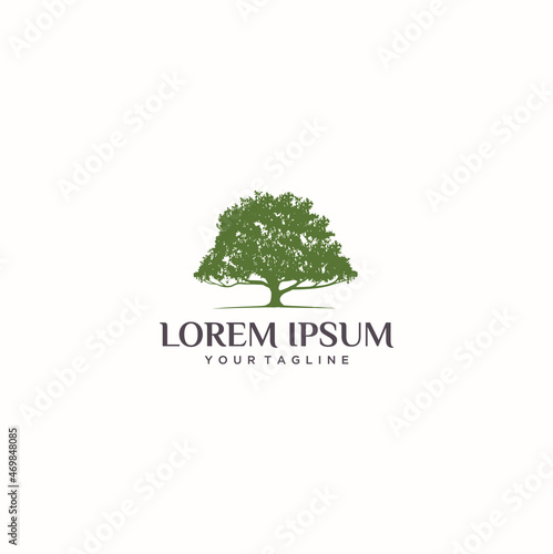 oak tree logo design   Green tree logo design natural and abstract leaf Premium Vector 