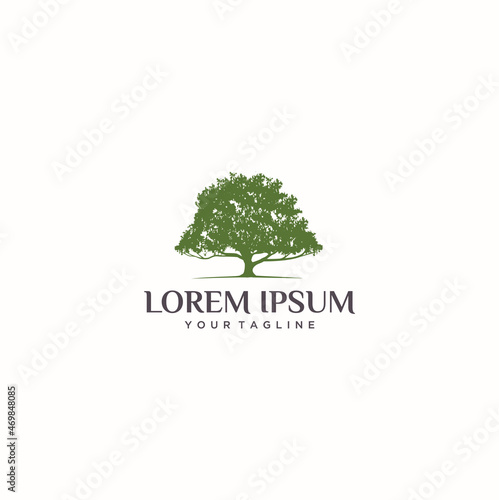 oak tree logo design,  Green tree logo design natural and abstract leaf Premium Vector
