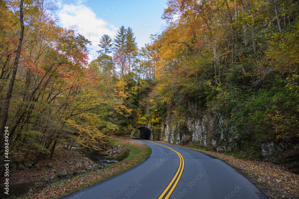 Tunnel in the Great Smoky Mountains National Park with fall foliage Tunnel in the Great Smoky Mountains National Park with fall foliage