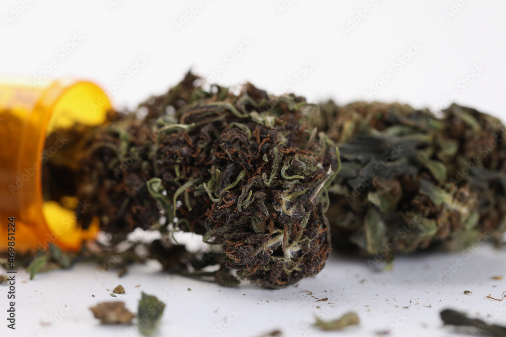Fototapeta premium Split dried marijuana plant, dropped plastic bottle with hemp medication