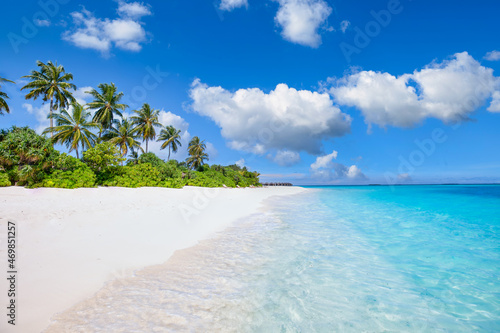 Exotic summer nature beach landscape panorama. Coco palms with amazing blue lagoon, sandy shore, coast. Stunning adventure island beach scenic vacation holiday tropical destination. Paradise traveling © icemanphotos