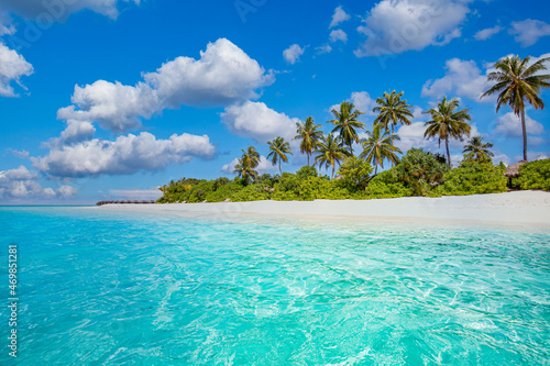 Exotic summer nature beach landscape panorama. Coco palms with amazing blue lagoon, sandy shore, coast. Stunning adventure island beach scenic vacation holiday tropical destination. Paradise traveling