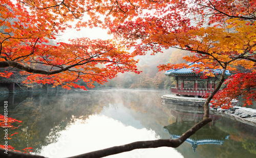 정읍 내장사 우화정의 아름다운 가을 단풍 photo