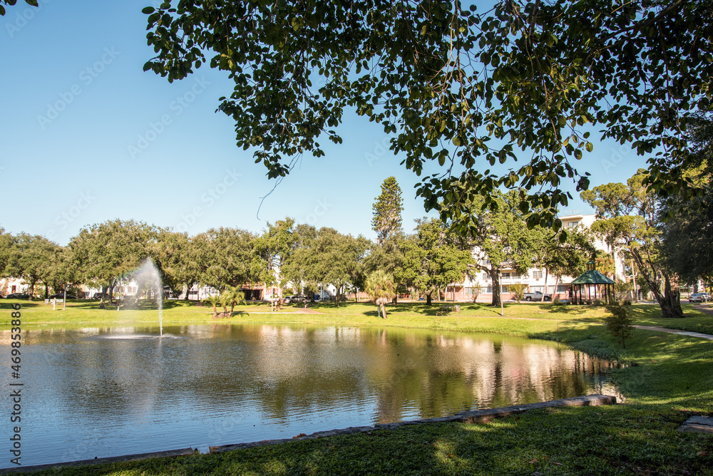 A lake in a recreational park in Saint Petersburg, Florida A lake in a recreational park in Saint Petersburg, Florida