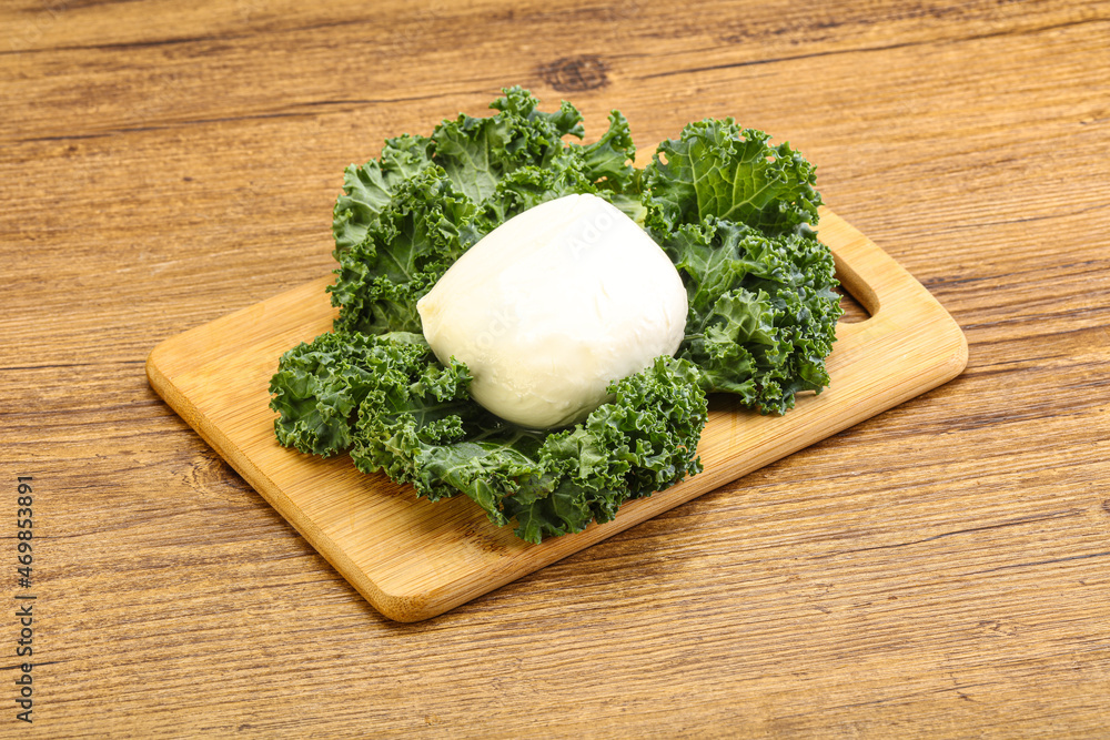 Soft mozzarella cheese over board Soft mozzarella cheese over board