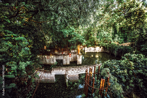 Ruins of houses in swamp forest, Teufelsberg, Berlin, Germany photo