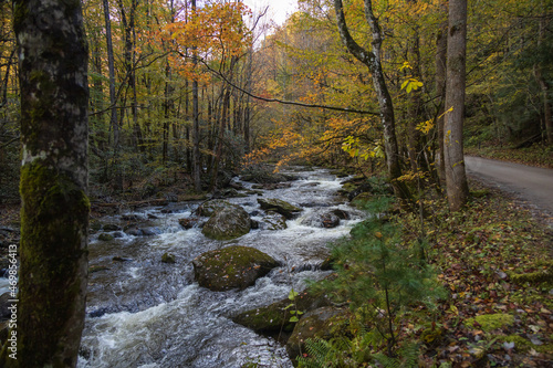 Cascading mountain stream in the fall Great Smoky Mountains National Park