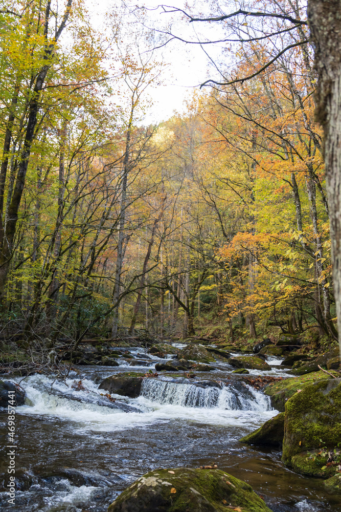 Cascading mountain stream in the fall Great Smoky Mountains National Park Cascading mountain stream in the fall Great Smoky Mountains National Park
