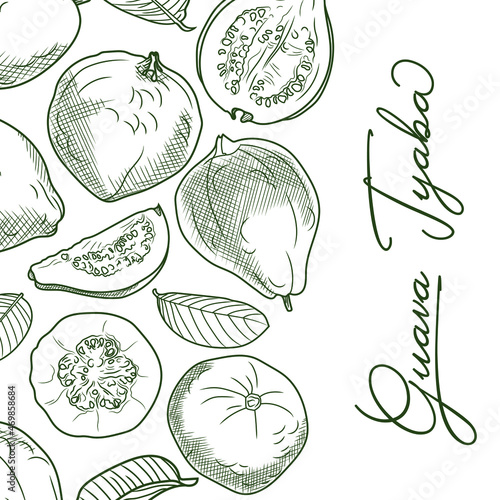 Guava sketch. Hand drawing of guava, fresh fruits and leaves. Black and white illustration