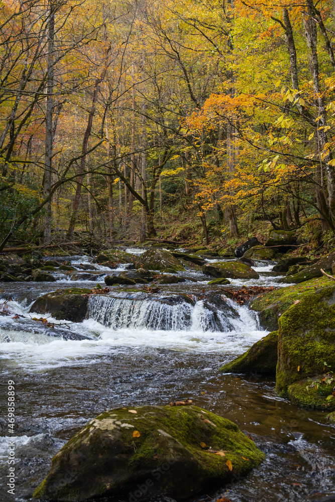 Cascading mountain stream in the fall Great Smoky Mountains National Park