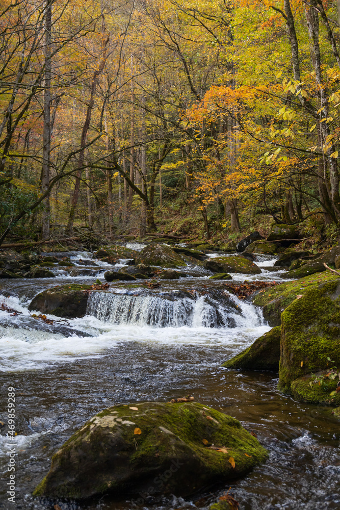 Cascading mountain stream in the fall Great Smoky Mountains National Park Cascading mountain stream in the fall Great Smoky Mountains National Park