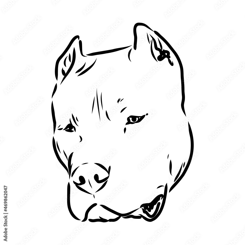 Sketch of Dog Pit bull terrier. Vector Illustration Sketch of Dog Pit bull terrier. Vector Illustration