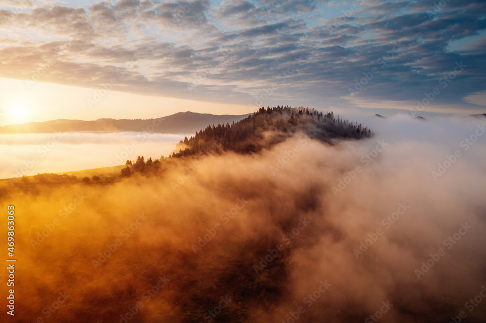 Magical thick fog covers the mountains in the rays of morning light. Carpathian mountains, Ukraine.