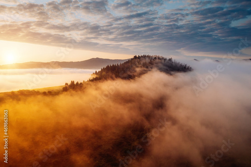 Magical thick fog covers the mountains in the rays of morning light. Carpathian mountains  Ukraine.
