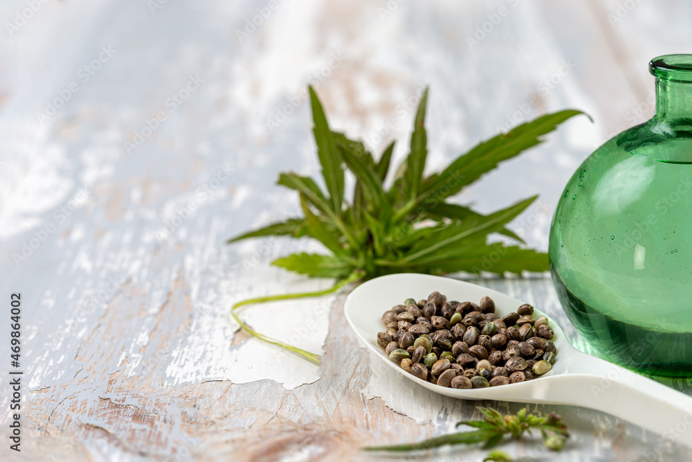 Organic hemp vegetable oil with leaf and seeds socer, wooden background Organic hemp vegetable oil with leaf and seeds socer, wooden background