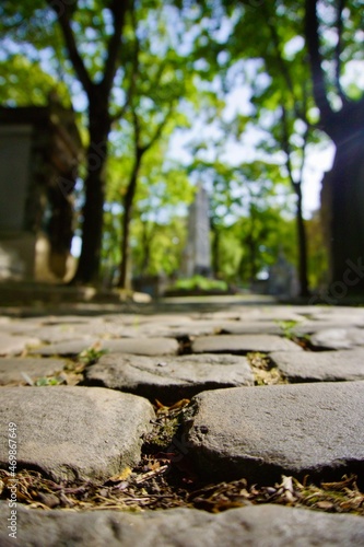 cobblestones in cemetery