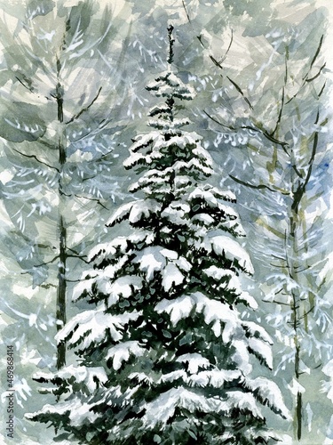 Watercolor postcard, winter spruce hand drawing
