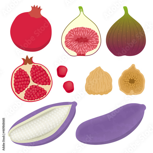 あけび・ざくろ・いちじくのイラスト