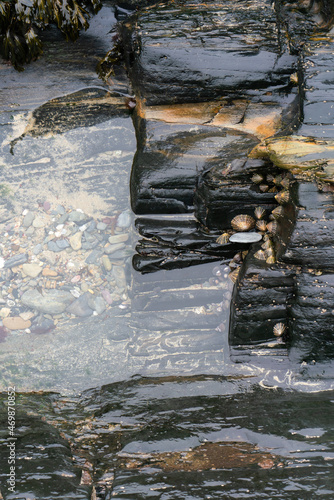 Wet rokcs  and water with small stones a on low tide photo