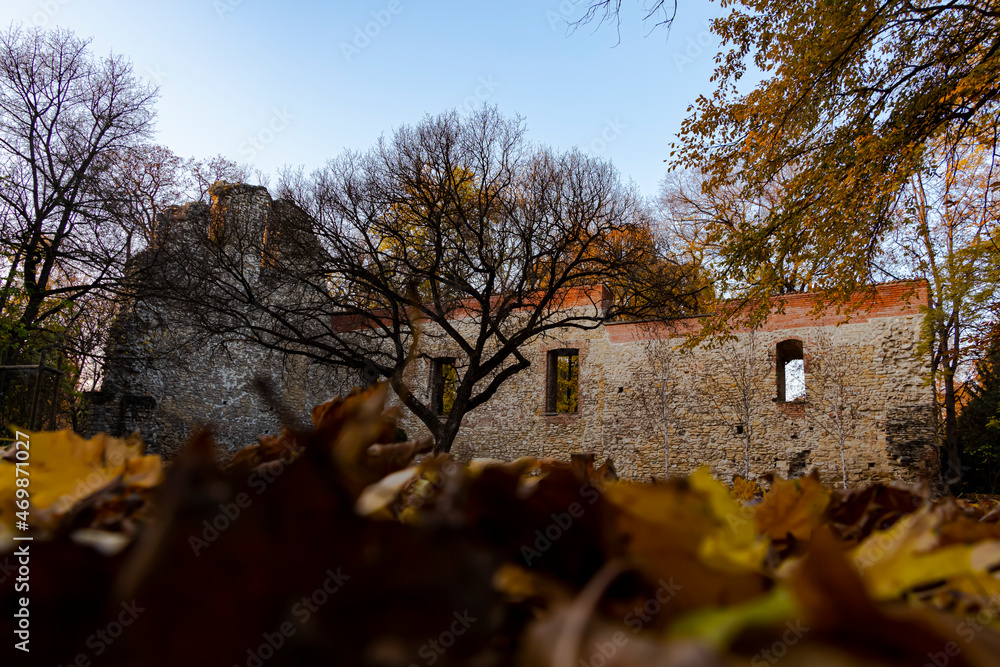 Ruins of a Franciscan monastery on Margaret Island in autumn Ruins of a Franciscan monastery on Margaret Island in autumn