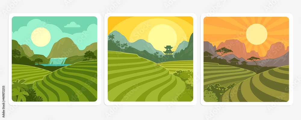 Fototapeta premium Beautiful fields on hills and plantations in a tropical valley of mountains vector set background. Summer rainforest with a waterfall and sunset background set. Fields of tea or coffee landscape