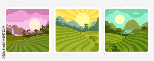 Beautiful fields on hills and plantations in tropical valley of mountains vector set landscape. Rainforest with waterfall and sunset background. Fields of tea or coffee Columbia, Brazil, Vietnam