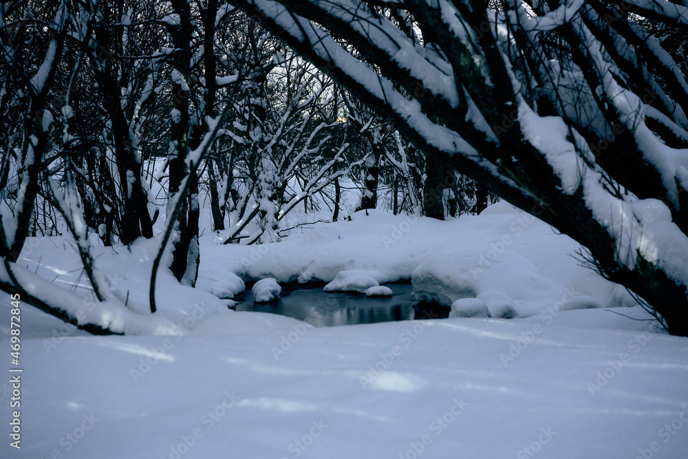 The edge of the forest covered with snow with a stream in the middle The edge of the forest covered with snow with a stream in the middle