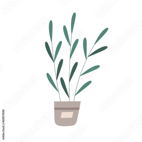 Green houseplant growing in pot. Home plant with leaves in flowerpot. Tall stem with leaf in planter. Foliage decoration for house interior. Flat vector illustration isolated on white background