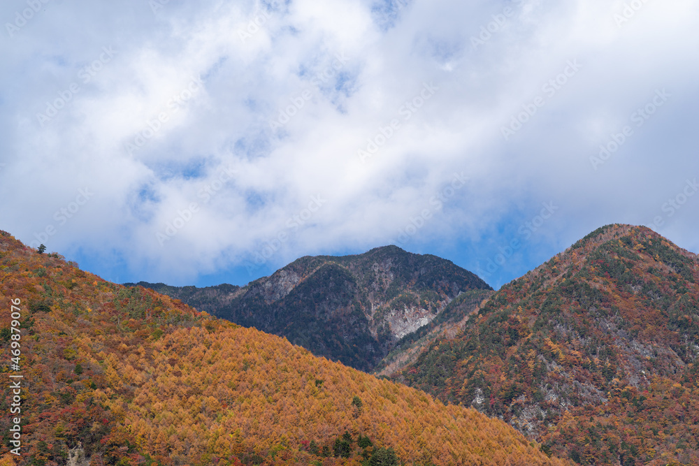 美しい紅葉 美しい紅葉