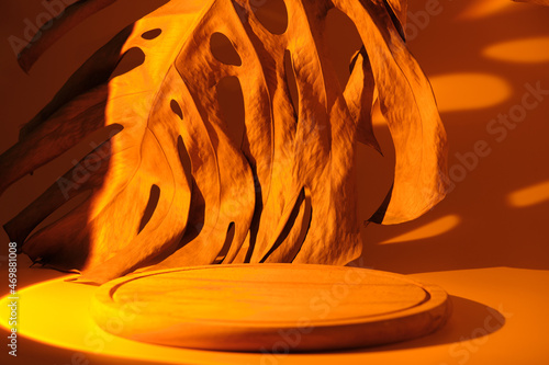 Mockup with place for text. A wooden podium in the light of a sunset lamp with a dry brown leaf monstera in the background.