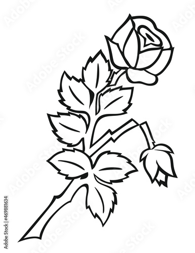 rose181121a