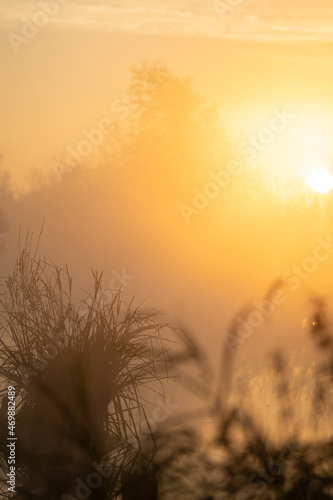 Sonnenaufgang über dem Moor © Joachim