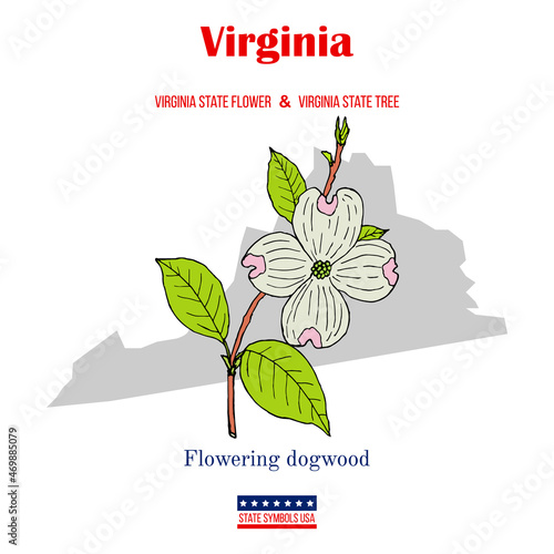 Virginia. Set of USA official state symbols photo