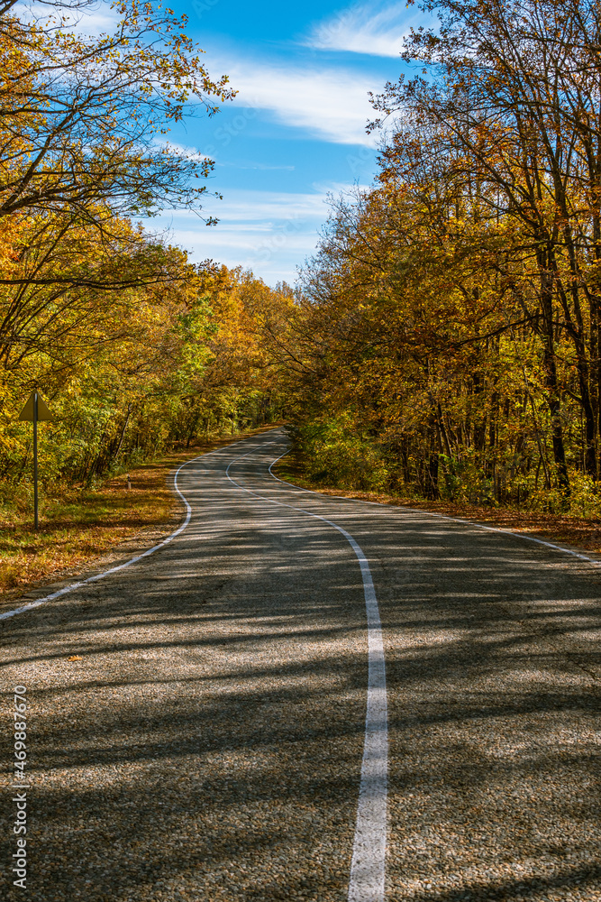 A deserted country road with white markings and curves in the middle of an autumn forest. In the background is a blue sky with clouds. A deserted country road with white markings and curves in the middle of an autumn forest. In the background is a blue sky with clouds.