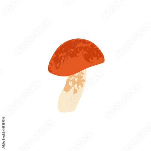 Red-capped scaber stalk mushroom. Modern botanical drawing of edible fall fungus. Autumn forest fungi. Colored flat vector illustration isolated on white background