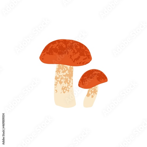 Red-capped scaber stalk mushrooms. Edible fall big and small fungi composition. Autumn forest fungus. Colored flat vector illustration isolated on white background