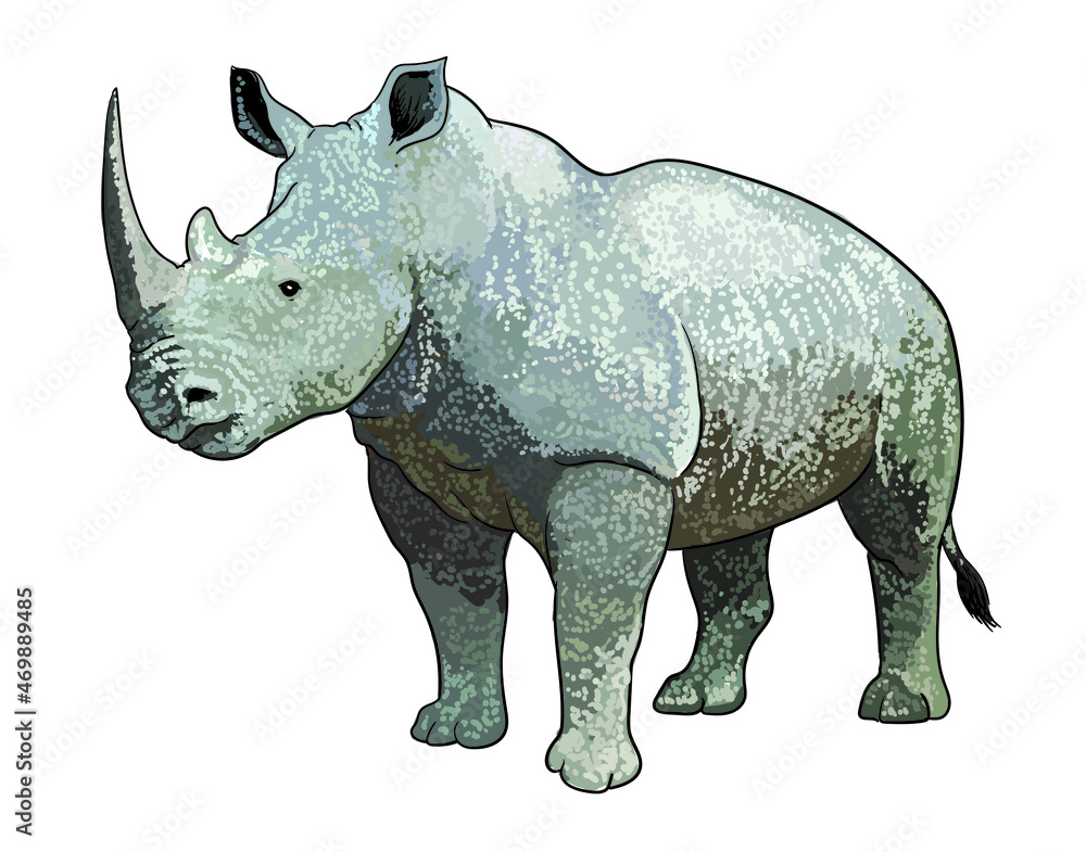 Fototapeta premium Rhinoceros pictures, wild animal , art.illustration, vector