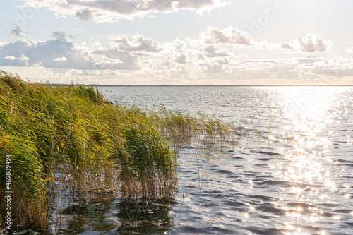 Blick auf die Ostesse mit Grass und Schilf