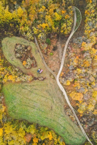 autumn in the forest