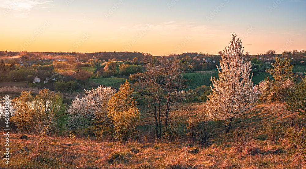 Fototapeta premium Spring evening landscape