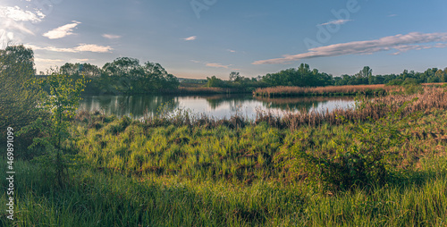 Wallpaper Mural Summer landscape Torontodigital.ca